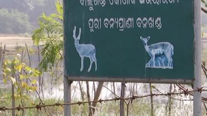 అద్భుతమైన శిల్పకళకు ఉదాహరణ.. కోణార్క్ సూర్య దేవాలయం..