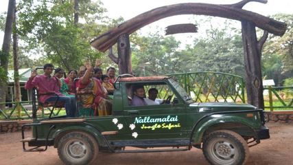 తెరుచుకున్న న‌ల్ల‌మ‌ల్ల బైర్లుట్టి జంగిల్ స‌ఫారీ...మీరు సిద్ధమేనా..?