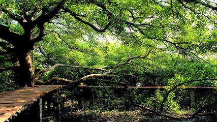 ఎన్నో ప్ర‌త్యేక‌త‌ల‌కు.. యానాంలోని ఈ ప్ర‌దేశాలు నిల‌యాలు..