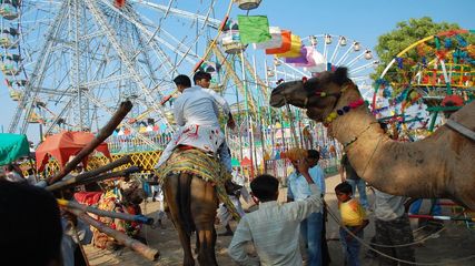 రాజ‌స్థాన్ సంస్కృతిని చూడాలంటే పుష్క‌ర్ ఫెయిర్‌కు వెళ్లాల్సిందే...