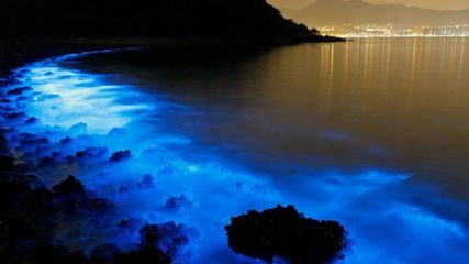 ఈ సాహ‌సోపేత కార్య‌క‌లాపాలు ల‌క్ష‌ద్వీప్‌లో ప్ర‌సిద్ధిచెందాయి...