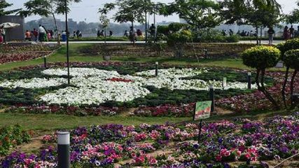 అహ్మ‌దాబాద్‌లోని రివ‌ర్ ఫ్రంట్ ఫ్ల‌వ‌ర్ షో ప్ర‌త్యేక‌త‌లు మీకోసం...