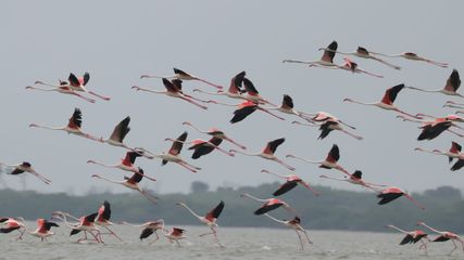 ఆధ్యాత్మిక చ‌రిత్ర‌కు పేరుగాంచిన రామేశ్వరం విశేషాలివే..