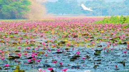 స్విట్జర్లాండ్‌ను త‌ల‌పించే ఇండోర్‌లోని ఈ ప్ర‌దేశాల‌ను చూశారా..?