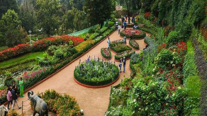 ఏప్రిల్‌ 9 నుంచి ప్రారంభం కానున్న ఊటీ ఎక్స్ హైదరాబాద్ టూర్‌ ప్యాకేజీ.