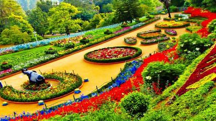 ఆరు రోజుల‌పాటు జ‌రిగే ఊటీ ఫ్ల‌వ‌ర్ ఫెస్టివ‌ల్ విశేషాలు మీకోసం..!