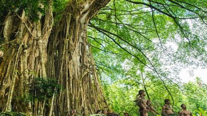 ప్రపంచఖ్యాతిని సొంతం చేసుకున్న తిమ్మమ్మ మర్రిమాను విశేషాలు..!