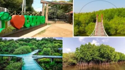 మాట‌లకందవు.. కోరింగ‌ మ‌డ అడ‌వుల అందాలు!