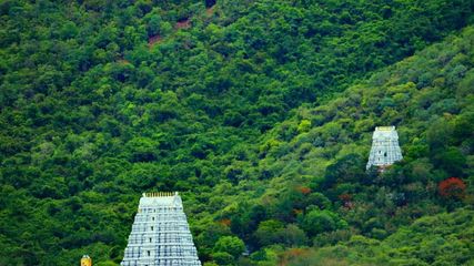 తిరుమ‌ల శ్రీ‌వారి ద‌ర్శ‌నానికి వెళ్లేవారికి విజ‌య‌వాడ నుంచి స్పెష‌ల్ టూర్ ప్యాకేజీ..