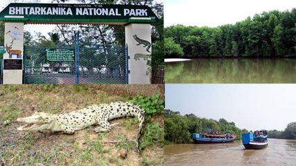 వ‌ర్షాకాలంలో ఒడిశాలోని భితార్కనిక నేషనల్ పార్క్ అందాలు చూడాల్సిందే..!