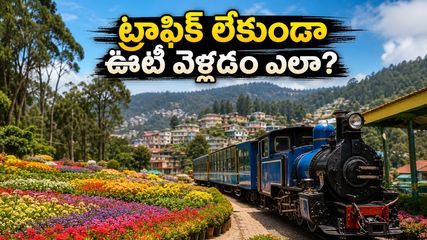 ఊటీ ఫ్లవర్ షోకు వెళ్తున్నారా? ట్రాఫిక్ ఇబ్బందులు లేకుండా ప్రశాంతంగా ఎంజాయ్ చేయడానికి ఈ రూట్ మ్యాప్, టిప్స్ మీకోసమే!