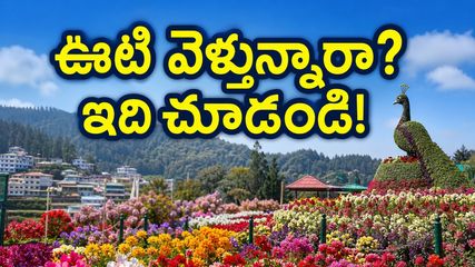 ఊటీ ఫ్లవర్ షో మొదలైంది.. ట్రాఫిక్ ఇబ్బందులు లేకుండా పర్యాటకులు ఈ రూట్లలో వెళ్తేనే బెస్ట్!