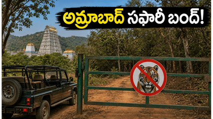 శ్రీశైలం వెళ్లే భక్తులకు అలర్ట్! అమ్రాబాద్ సఫారీ బంద్.. మీ ప్రయాణ ప్లాన్ మార్చుకోవాల్సిందే!
