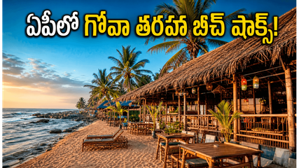 ఏపీ బీచ్‌లలో ఇక గోవా తరహా సందడి.. విశాఖ, సూర్యలంకలో 'బీచ్ షాక్స్' ప్రారంభం, పూర్తి వివరాలు ఇవే!