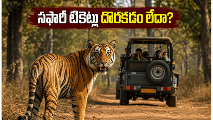 బండిపూర్, నాగర్‌హోల్ సఫారీకి వెళ్తున్నారా? టికెట్లు దొరకడం లేదా? ఈ చిట్కాలు పాటిస్తే మీ సీట్ గ్యారెంటీ!