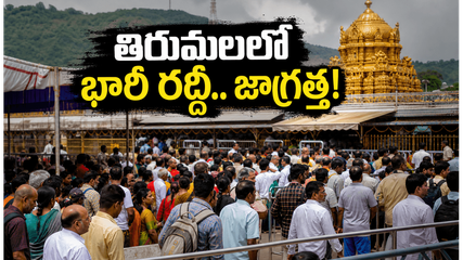 తిరుమలలో సర్వ ఏకాదశి రద్దీ.. దర్శనానికి 30 గంటల నిరీక్షణ! భక్తులు ప్లాన్ మార్చుకోవాల్సిందేనా?