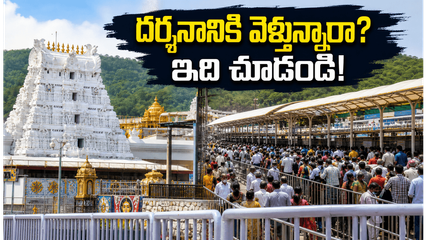 తిరుమలలో భక్తుల రద్దీ.. దర్శనానికి 20 గంటల సమయం, వెళ్లే ముందు ఈ విషయాలు తప్పక తెలుసుకోండి!