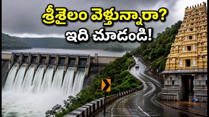 శ్రీశైలం వెళ్తున్నారా? వర్షాలు, ఫారెస్ట్ గేట్ టైమింగ్స్, దర్శనం వేళలు.. ప్రయాణానికి ముందు ఈ అప్‌డేట్స్ తప్పక చూడండి!