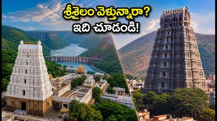 ఆగస్టు లాంగ్ వీకెండ్: శ్రీశైలం, అరుణాచలం వెళ్తున్నారా? ఈ ట్రావెల్ టిప్స్ మిస్ అవ్వకండి!