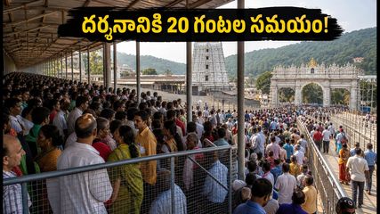 తిరుమల భక్తులకు అలర్ట్.. నేడు దర్శనానికి 20 గంటల సమయం, క్యూ లైన్ల పరిస్థితి ఇదే!