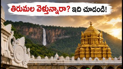 తిరుమలలో భారీగా పెరిగిన భక్తుల రద్దీ.. దర్శనం కోసం వెళ్లే ముందు ఈ విషయాలు తప్పక తెలుసుకోండి!