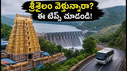శ్రీశైలం వెళ్తున్నారా? రద్దీలో ఇబ్బంది పడకుండా ప్రశాంతంగా దర్శనం చేసుకోవాలంటే ఈ టిప్స్ మీకోసమే!