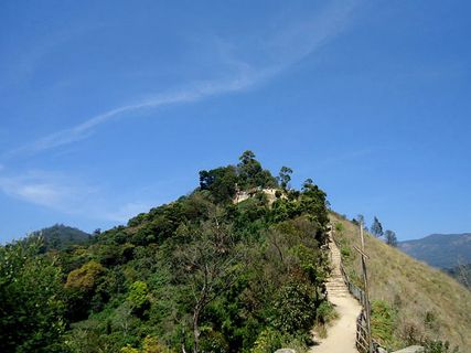 మున్నార్ లో ప్రత్యేక పర్యాటక ఆకర్షణలు!