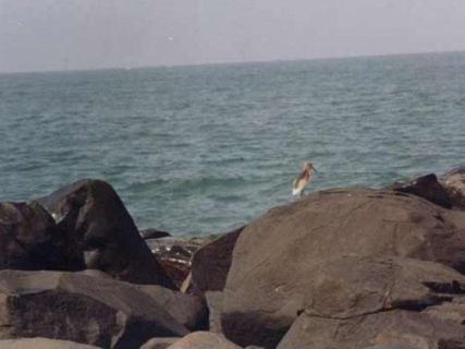 బయన్దూర్ - బీచ్ లు, సూర్యాస్తమయాలు!