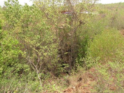 బ్రహ్మంగారి మఠం వద్ద అద్భుత గుహలు !!