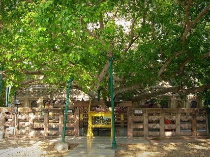 బుద్ధగయ ... బౌద్ధ మతం పరిఢవిల్లిన పుణ్య క్షేత్రం !!