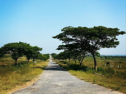 వనస్థలిపురం : ప్రకృతిలో విహారం !