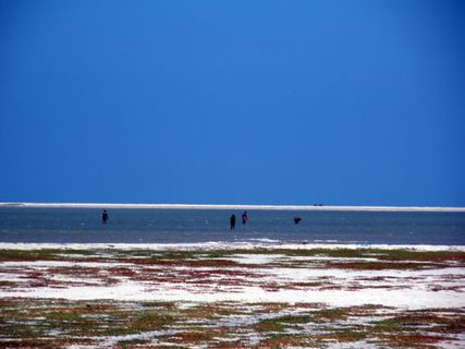 ధనుష్కోడికి ట్రావెల్ గైడ్ మరియు నిర్మలమైన బీచ్