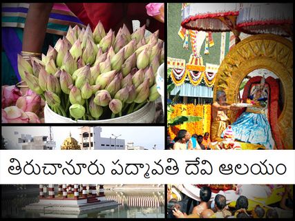 బంగారు పద్మంలో అవతరించిన శ్రీపద్మావతి దేవి మరియు లక్ష్మీ దేవి ఒక్కరేనా !