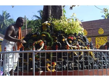 ఈ గ్రామంలో పాము కరిచినా ప్రాణం పోదు? సైన్స్ కి అంతుచిక్కని రహస్యం