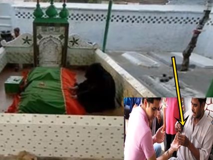 తేలు దర్గా గురించి తెలుసుకుంటే షాక్ !