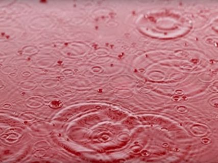 కేరళ రక్తపు వర్షం నిజమా?