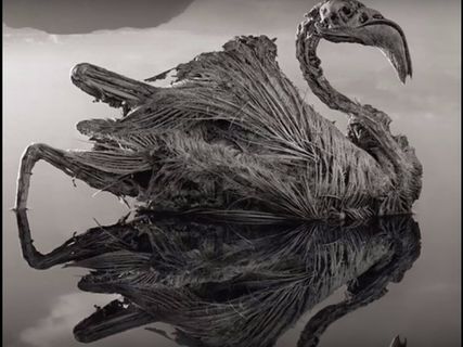 ఆ నీటిని తాకితే శిలగా మారిపోతారు తెలుసా!