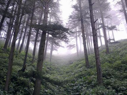 మంత్రముగ్ధులను చేసే - చైల్