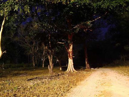 దెయ్యాలు ఎక్కువగా ఉన్న టాప్-10 భారతీయ రోడ్లు