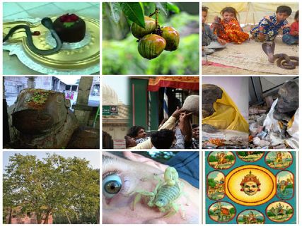 బహుశా దేవుడు కూడా ఈ రహస్యాలను ఛేదించలేడేమో?