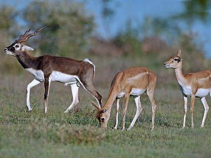 ఈ కొండ కోనల్లో పర్యటకు ప్లాన్ చేసుకొందాం