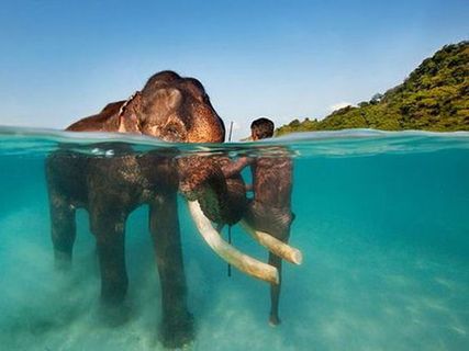 మయబండ్ లో విహరించారా?