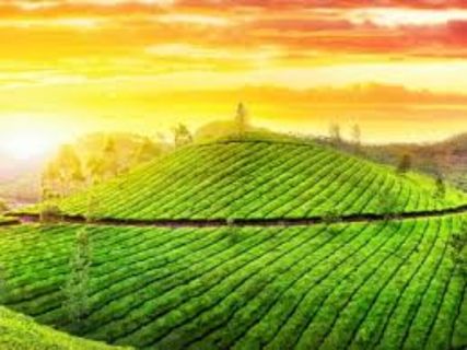 ప‌చ్చ‌ని కునూర్‌లో.. ప‌సందైన ప్ర‌యాణం చేద్దామా?!