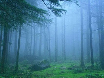 మంచుకురిసే వేళ‌.. ఇది మ‌న్యం మెరిసే వేళ‌..