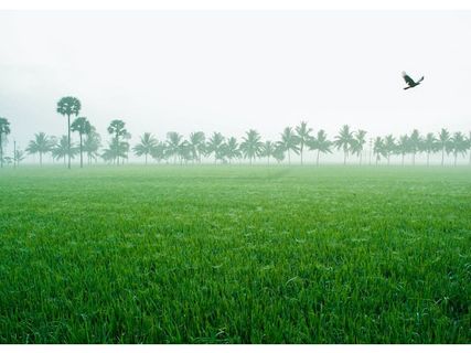 ప‌చ్చ‌ని ప‌ర్యాట‌క రంగ‌వ‌ల్లి.. పాల‌వెల్లి!