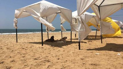 చ‌ల్లద‌నం కావాలంటే.. గోవాను చుట్టేయాల్సిందే..