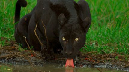 క‌ర్ణాట‌క‌లోని ఈ ప్రాంతాల‌ను చూస్తే మైమ‌రిచిపోవాల్సిందే..!