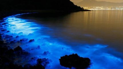 ఈ సాహ‌సోపేత కార్య‌క‌లాపాలు ల‌క్ష‌ద్వీప్‌లో ప్ర‌సిద్ధిచెందాయి...