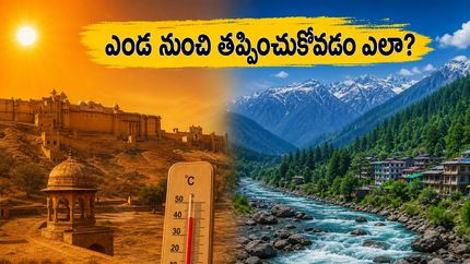 ఎండ వేడిలో నార్త్ ఇండియా ట్రిప్ ప్లాన్ చేస్తున్నారా? గోల్డెన్ ట్రయాంగిల్, చార్ ధామ్ యాత్రలో ఇబ్బంది లేకుండా తిరగడానికి ఈ సీక్రెట్స్ తెలుసుకోండి!