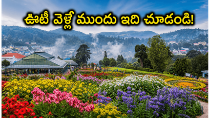 ఊటీ ఫ్లవర్ షోకు వెళ్తున్నారా? ఈ-పాస్, ట్రాఫిక్ రూల్స్ తెలియకపోతే మీ ట్రిప్ పాడవ్వడం ఖాయం!